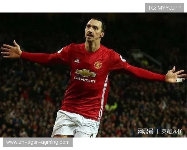 英超球员肖像权比例及相关法律法规解析 英超球员肖像权比例及相关法律法规解析