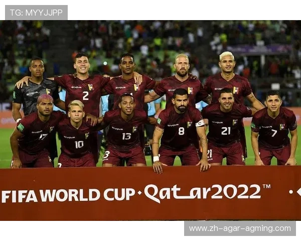 英超的威尔士球队:英超中的威尔士代表俱乐部 英超的威尔士球队:英超中的威尔士代表俱乐部