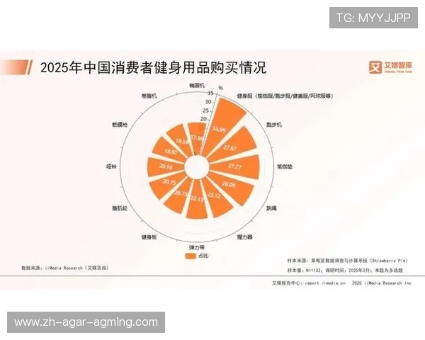 室内健身器材行业现状分析及市场增长趋势 室内健身器材行业现状分析及市场增长趋势
