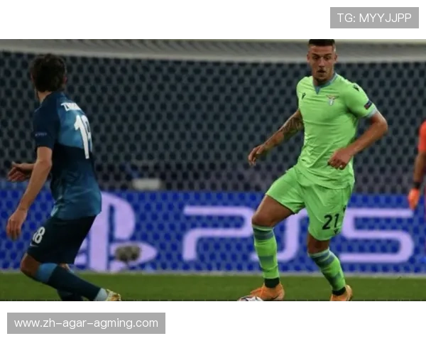 德甲球队海茵茨资料介绍及效力队伍背景