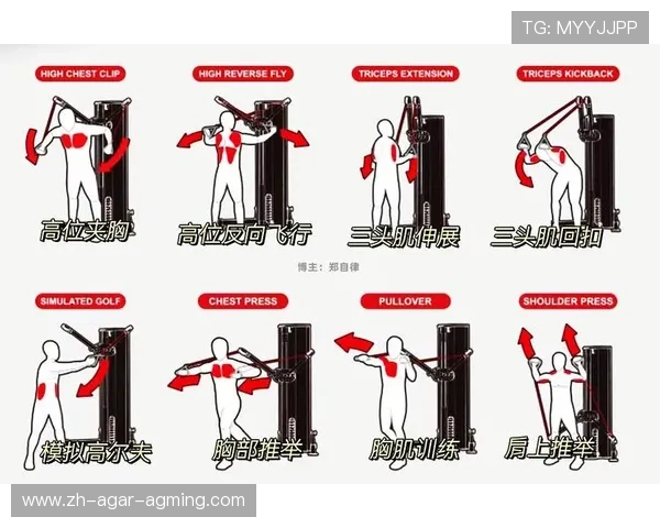 无需器械也能健身的科学训练方法大全