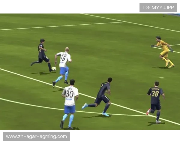 法甲球员在实战中战术执行效率的阶段性评估