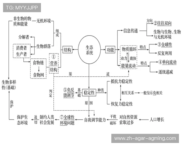 法甲联赛生态结构及市场运作机制研究