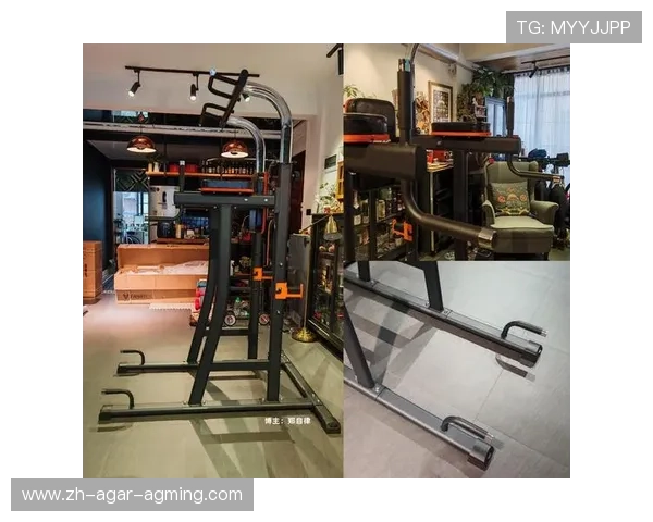 那些健身器材最实用健身教练来推荐 那些健身器材最实用健身教练来推荐