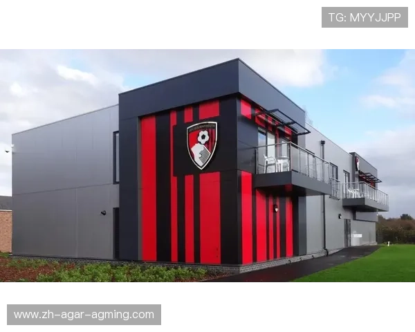 足球长期规划战略在提升俱乐部国际竞争力中的地位分析